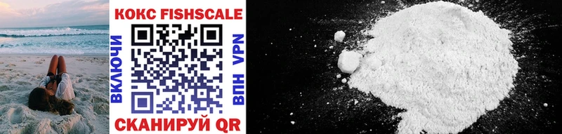 Купить закладки  Судак  Cocaine Fish Scale 