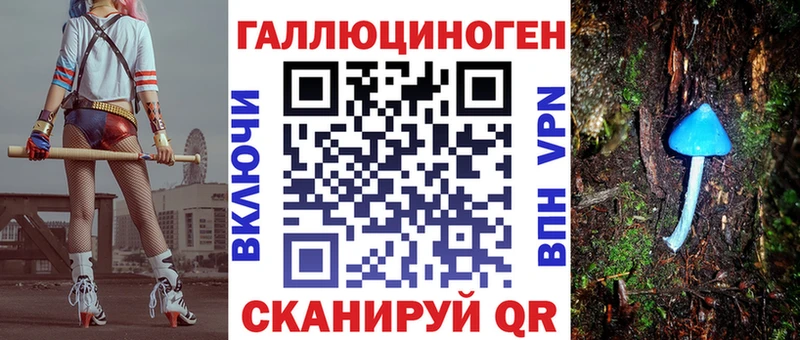 Купить  Судак  Псилоцибиновые грибы GOLDEN TEACHER 
